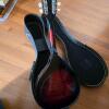 Harmony Mandolin with Sunburst Finish and Case - 4