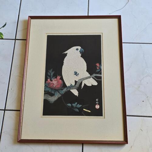 Shoson Parrot in a Pomegranate Tree Woodblock Print 22"x17"