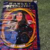 Harley Rendezvous 1993 15th Year Event Poster 30"x20" - 3