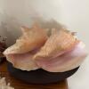 Decorative Coral, Conch Shells & Sea Shells - 5