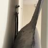 Large 7 Foot Sailfish Wall Mount with Painted Finish - 19
