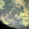 Steiner Germany Firebird 8x30 Binoculars - 3