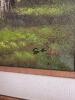 Landscape Oil Painting in Rustic Frame, River and Trees Scene 45" x 33" - 5