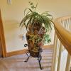 Large Ceramic Amphora with Faux Spider Plant on Metal Stand - 2
