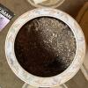 Ceramic Planter With Seashell Design & Wood Stand - 3