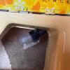 Singer Genie 354 Portable Sewing Machine - 8