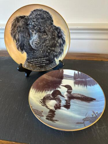 Decorative Collector Plates Featuring Poodle and Common Loons
