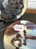 Decorative Collector Plates Featuring Poodle and Common Loons - 9