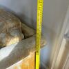 Highland House of Hickory Sofa with Throw Pillows - 14