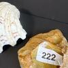 Natural Clam Shell and Decorative Stone Dish - 7