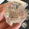 Sixteen Individual Clear Glass Salt Cellars - 4
