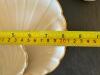 Lenox Heart Vase and Belleek Shell Dishes - 3