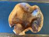Hand Carved Wood Tree Root Bowl - 2
