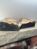 Pair of Polished Agate Stone Bookends - 5