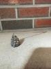 Pair of Silver Tone Oil Candles with Pinecone Snuffer - 8