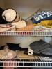 Large Linen Closet with Mixed Contents - 2