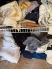 Large Linen Closet with Mixed Contents - 4