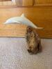 John Perry Dolphin Sculpture on Burl Wood Base