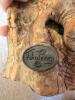 John Perry Dolphin Sculpture on Burl Wood Base - 4