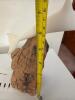 John Perry Dolphin Sculpture on Burl Wood Base - 6