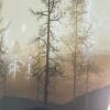 Pair of Virgil Thrasher Serigraphs: Coast Range and Bay Trees, Signed - 8