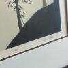 Pair of Virgil Thrasher Serigraphs: Coast Range and Bay Trees, Signed - 11