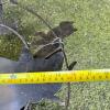 Metal Cat Silhouette and Cat Wind Chime - 4