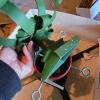 Christmas Tree Stand and Metal Candleholder - 3