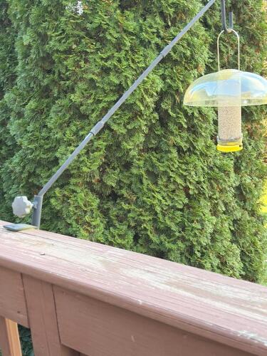 Deck Clamp Bird Feeder Pole with Tube Feeder