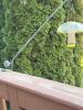Deck Clamp Bird Feeder Pole with Tube Feeder