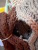 Five Assorted Handmade Crochet Afghans - 6