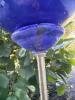 Blue Glass Garden Gazing Ball with Metal Stake 46" - 4