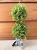 Cypress Home Lighted Faux Topiary with Burlap Bow in Galvanized Pot