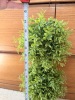 Cypress Home Lighted Faux Topiary with Burlap Bow in Galvanized Pot - 7